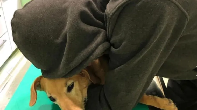 I kamen bi zaplakao: 'Nisam te mogao pustiti da ode&scaron; s ovoga svijeta sama. Zbogom, moja Malena!'