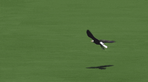 Neočekivani napadač