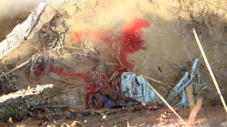 Policija privela 17-godi&scaron;njaka kojeg se dovodi u svezu s okrutnim ubojstvom kod Kupinca