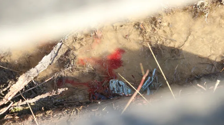 Jezivi detalji ubojstva: 17-godi&scaron;njak je vr&scaron;njaku zadao vi&scaron;e od 100 ubodnih rana