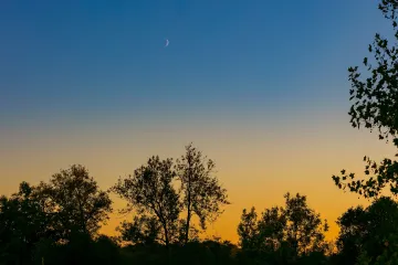 Kada se koristi mjesečev sjetveni kalendar
