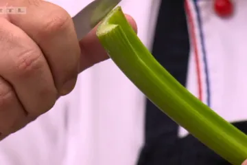 Za što se koristi stabljika celera
