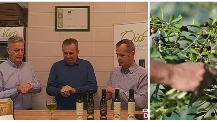 Na polju gdje je nekad bilo smetlište: Bivši ratni suborci uzgajaju najbolje maslinovo ulje nasvijetu