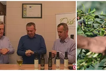 Na polju gdje je nekad bilo smetlište: Bivši ratni suborci uzgajaju najbolje maslinovo ulje nasvijetu