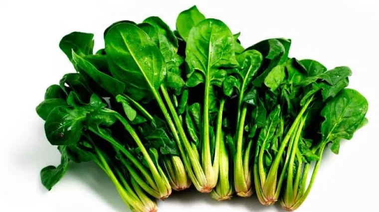 Kada je najbolje vrijeme za sijanje blitve i špinata