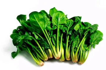 Kada je najbolje vrijeme za sijanje blitve i špinata