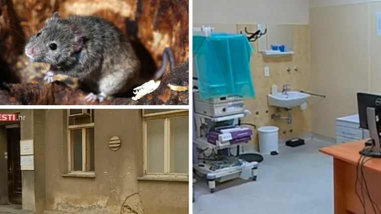 Neželjeni gosti grickali po bolnici: &Scaron;takori se pojavili u zagrebačkom KBC Sestre milosrdnice