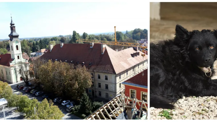 Karlovčanin ostavio milijun kuna psima i Gradu, provjerili smo gdje je završio njegov imetak