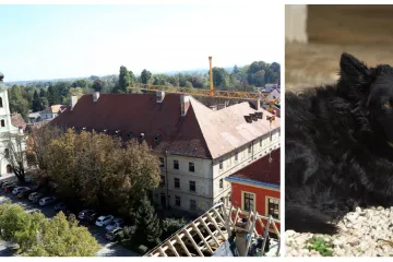 Karlovčanin ostavio milijun kuna psima i Gradu, provjerili smo gdje je završio njegov imetak