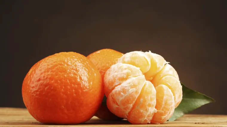 Sadnja mandarine iz koštice