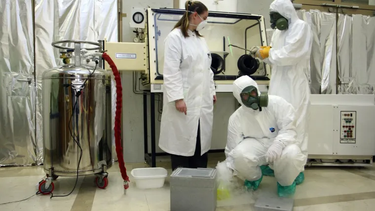 Njihovo otkriće novih akceptora halogenske veze pomaknulo je granice supramolekulske kemije