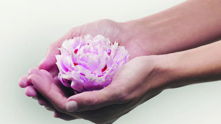 Božur linija: opu&scaron;tajući zen učinak za osjetljivo i iritirano vlasi&scaron;te