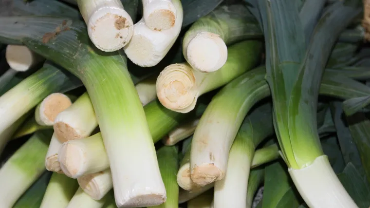 Sjetva poriluka ne mora biti komplicirana uz ovaj vodič