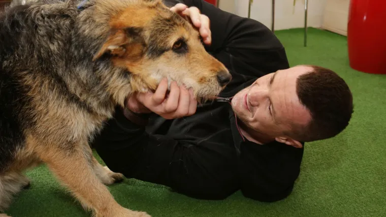 'Hvala u ime zaboravljenih slavonskih pasa': Cro Cop azilu za životinje pomogao s 10 tisuća kuna