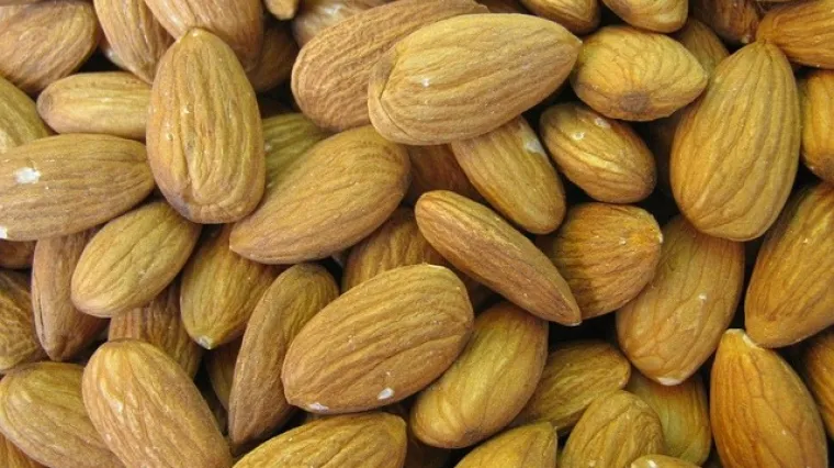 Divlji badem lijek ili otrov