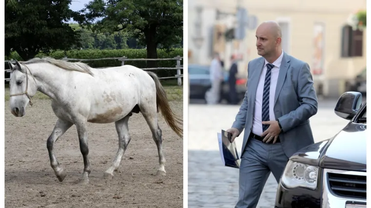 Tolu&scaron;ić o slučaju uginuća konja iz Državne ergele: 'Glupa je priča definitivno'