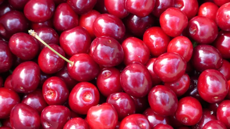 Trešnja Carmen - trešnja čudesno harmonične arome