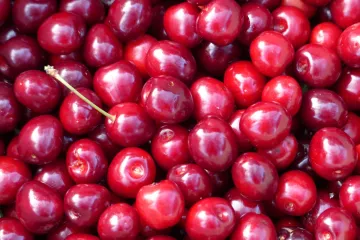 Trešnja Carmen - trešnja čudesno harmonične arome