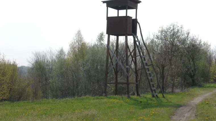 Proma&scaron;io divlju svinju i pogodio ga u natkoljenicu