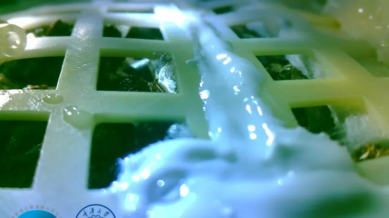 Revolucija za čovječanstvo, eksperiment je uspio: Prve biljke proklijale na Mjesecu!