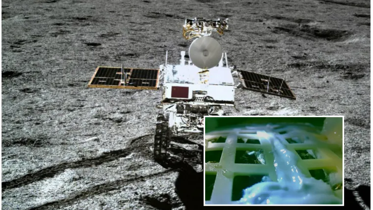 Kinezi uzgojili biološki život na tamoj strani Mjeseca, evo zašto je to ogromna stvar za čovječanstvo