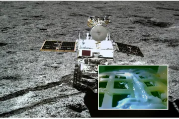 Kinezi uzgojili biološki život na tamoj strani Mjeseca, evo zašto je to ogromna stvar za čovječanstvo