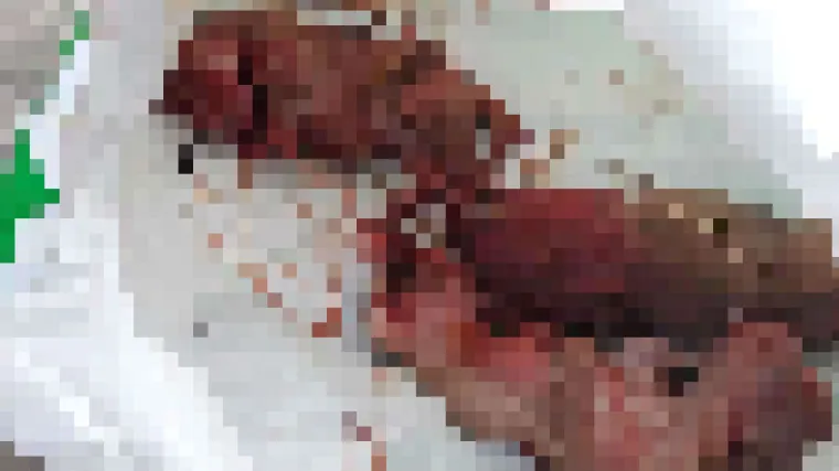 UZNEMIRUJUĆE FOTOGRAFIJE Monstrum masakrirao male psiće i bacio ih gospođi u dvori&scaron;te