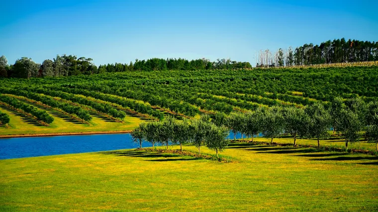 Za&scaron;to je važna jesenska gnojidba vrta