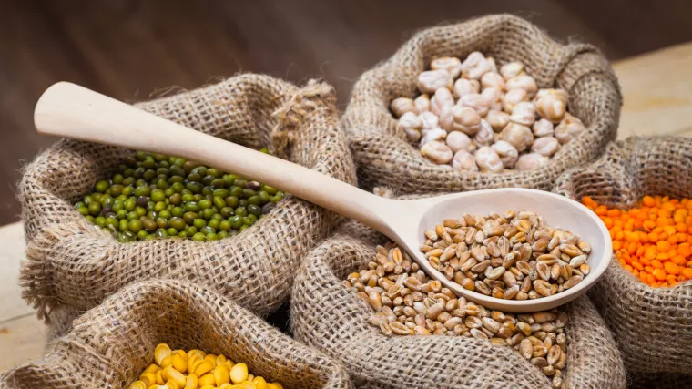 Gdje se najviše uzgaja leća i koliko poznajete uzgoj leće