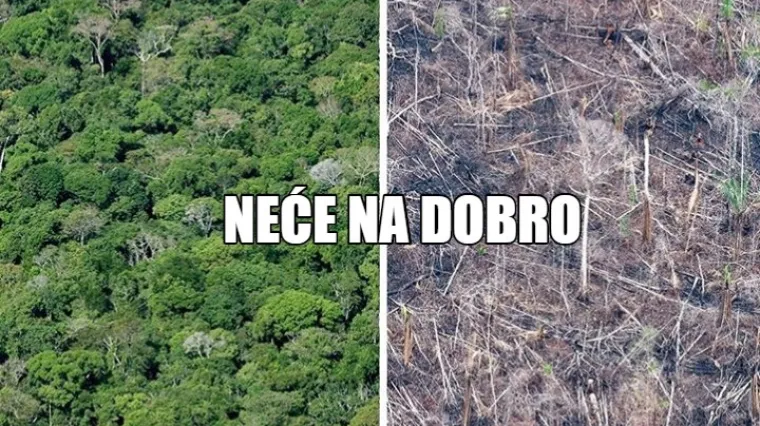 Fenomen '10 years challenge' se pretvorio u borbu za okoli&scaron;: 10 objava koje vrijede tisuću riječi