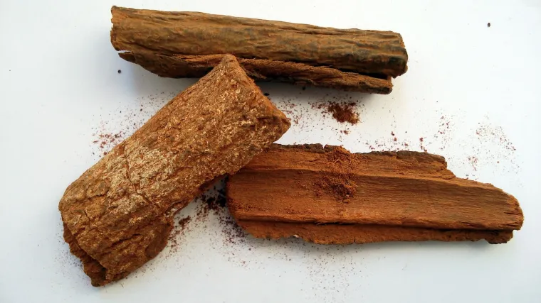 Kinin biljka i njezine dobrobiti u liječenju