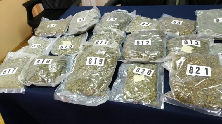 Dolijali: Osječanin pao s 5,5 kila marihuane, a Slovenka s 24,6 kilograma