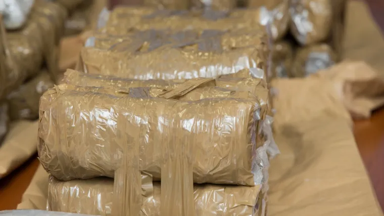 Bosanski policajci u kamionu prona&scaron;li 350 kg kanabisa