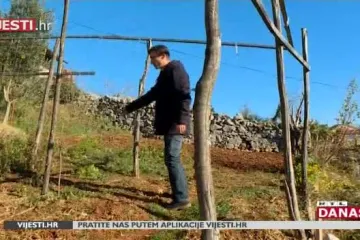 Pomilovanje Luksetića: Predsjednicu zbog presedana u slučaju Luksetić prozivaju za populizam