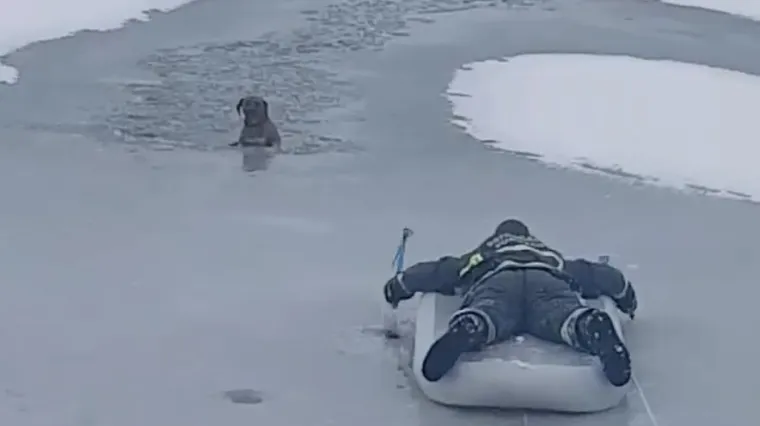Glavni protagonist hit snimke iz Vukovara: 'Nisam junak. Pogledao sam Leu u oči i sve mi je bilo jasno...'