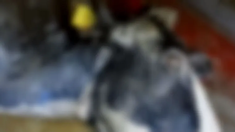 Tajne snimke: U klaonicu dovoze bolesne krave, le&scaron;eve 'uljep&scaron;avaju', pa izvoze meso u EU