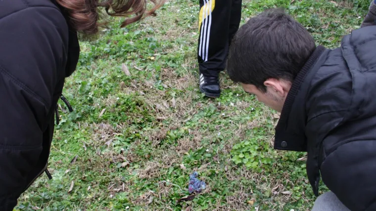 Vlasnici ljubimaca, budite na oprezu! 'Pas u &scaron;etnji pojeo plavu tvar i otrovao se'