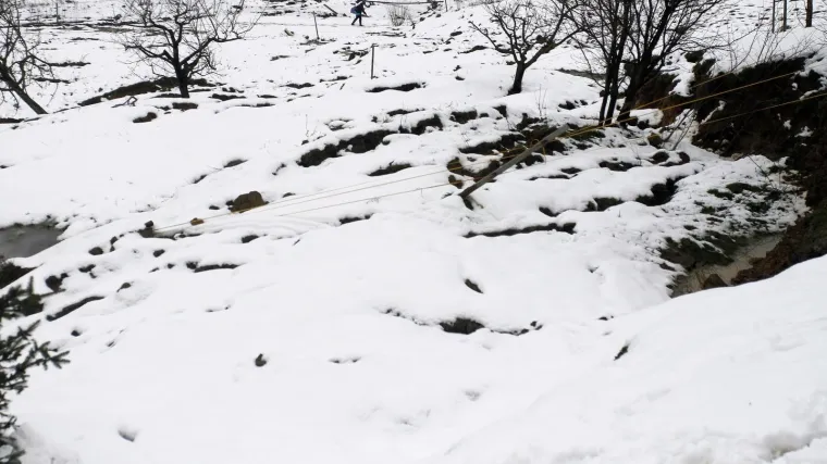 Žena &scaron;etala psa i u &scaron;umi prona&scaron;la mu&scaron;karca. Preminuo je u bolnici...