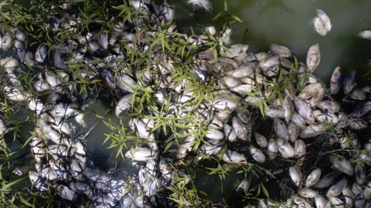 Vlast krivi su&scaron;u, no prava istina je daleko groznija