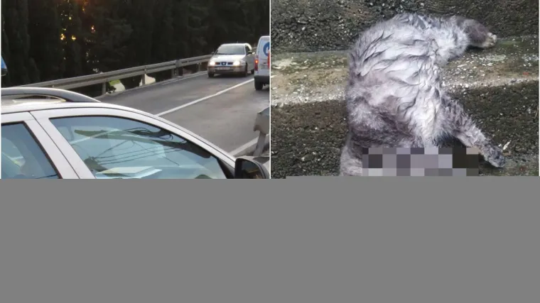 'Hoće li netko vi&scaron;e ne&scaron;to poduzeti ili pak čekate da se otruje dijete'