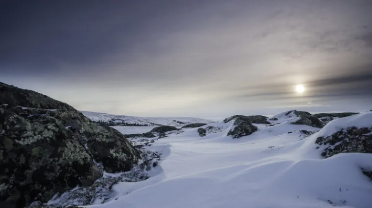 Otopili se glečeri kanadskog Arktika i otkrili površinu koja je bila skrivena 40.000 godina