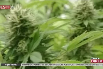 Bolesni ljudi se zbog apsurda okreću crnom tržištu: 'Ne možeš disati, gutati... Utrnuće svega'