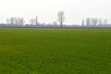 Koliko ljepote se krije u riječi nizinski zavičaj i koliko te ljepote poznajete