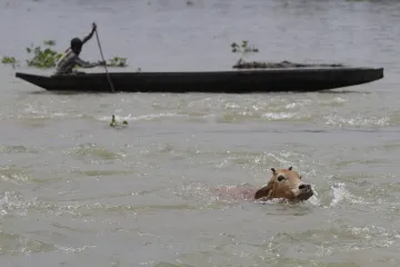 Što je to monsunska Azija i koliko je poznajete