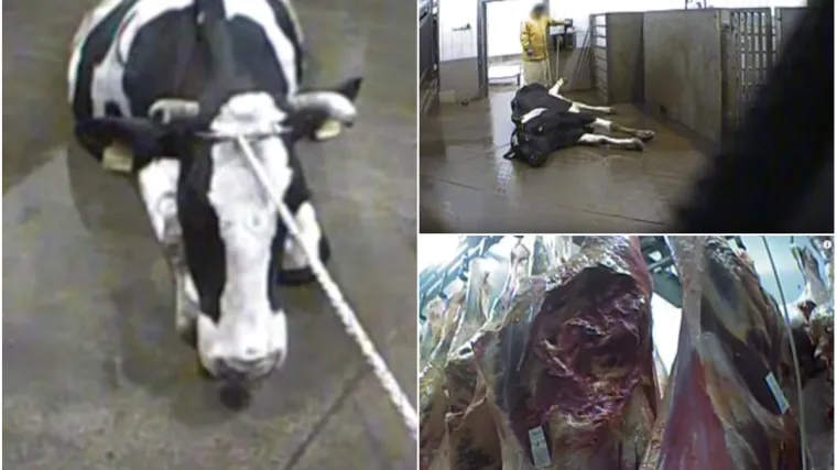 'Rekli su mi: Manje pitaj, spavat će&scaron; mirnije'