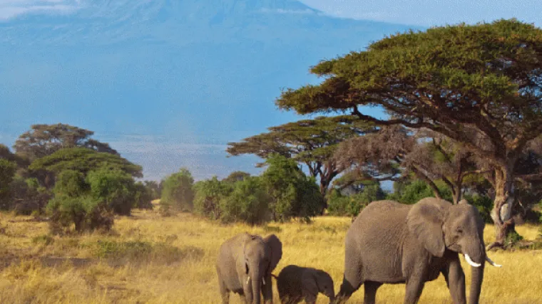 Znate li koja je najveća država Afrike