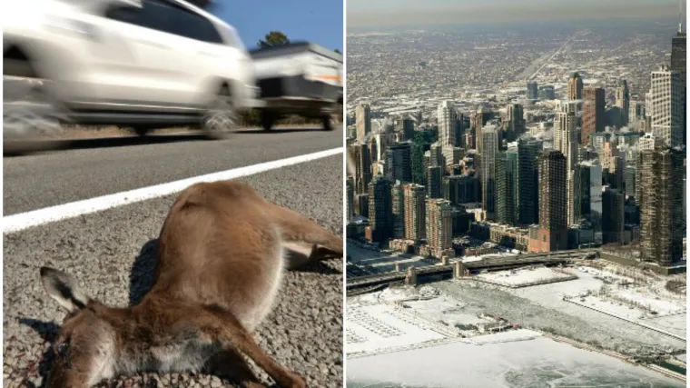 Australija proživjela najtopliji mjesec otkako postoje mjerenja, SAD se već 20 godina nije ovako smrzavao
