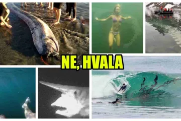 Bolujete li od thalassofobije? 20 slika uz pomoć kojih možete vidjeti bolujete li od ovog drevnog straha