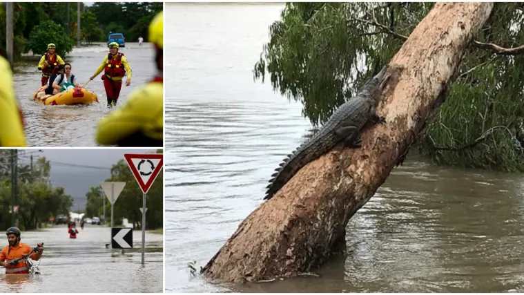 Australija u golemim problemima, ulice preplavili krokodili i zmije: 'Ovo se događa jednom u stoljeću'