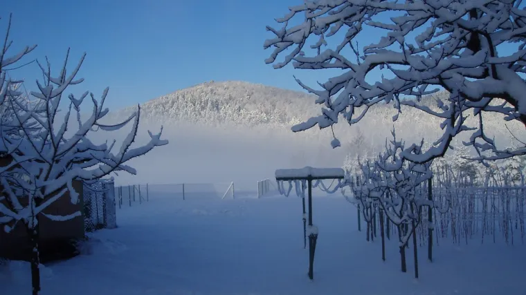Koje fužinsko jezero najbolje poznajete?